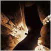 Batman Begins : Cartel