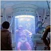Star wars: Episodio IV - Una nueva esperanza (La guerra de las galaxias) : foto George Lucas