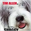 Cariño, estoy hecho un perro : Cartel Brian Robbins, Tim Allen
