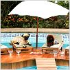 Un chihuahua en Beverly Hills : foto Raja Gosnell