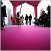 Un chihuahua en Beverly Hills : foto Raja Gosnell