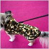 Un chihuahua en Beverly Hills : foto Raja Gosnell