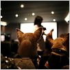 Un chihuahua en Beverly Hills : foto Raja Gosnell