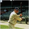 Ty Cobb : foto Ron Shelton, Tommy Lee Jones