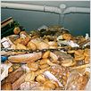 Nosotros alimentamos al mundo : foto