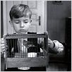 La cinta blanca : foto Michael Haneke