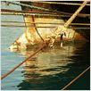 Anclados : foto