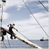 Anclados : foto