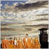 Scoundrels : foto David James Elliott, Leven Rambin, Patrick Flueger, Vanessa Marano, Virginia Madsen