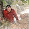 Dos hombres y medio : foto Ashton Kutcher