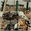 Acero puro : foto Shawn Levy