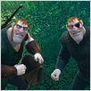 Enredados (Rapunzel) : foto Byron Howard, Nathan Greno