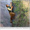 Enredados (Rapunzel) : foto
