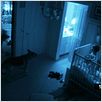 Paranormal Activity 2 : foto Tod Williams