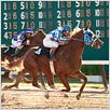 Secretariat : foto Randall Wallace