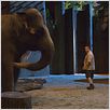 Zooloco : foto Frank Coraci, Kevin James