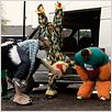 4 Lions : foto Chris Morris