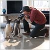 Los pingüinos del Sr. Poper : foto Jim Carrey, Mark Waters
