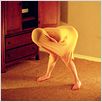 El futuro : foto Miranda July