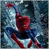 The Amazing Spider-Man : cartel