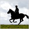 War Horse (Caballo de batalla) : foto Jeremy Irvine, Steven Spielberg