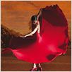 Flamenco, Flamenco : cartel
