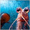 Happy Feet 2 : foto George Miller