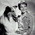 Foto : Lassie