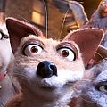 Foto : Mongrels