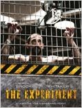 The Experiment