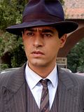 Shahab Hosseini