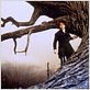 Sleepy Hollow : foto