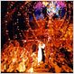 Moulin Rouge! : foto Baz Luhrmann