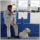 Bombón, el perro : foto Carlos Sorín, Juan Villegas
