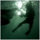 El territorio de la bestia (Rogue) : foto Greg McLean