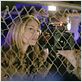 Desaparecida (Vanished) : foto Rebecca Gayheart