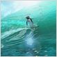 Locos por el surf : foto Ash Brannon, Chris Buck