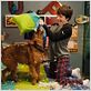 Perro al rescate : foto Todd Holland