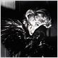 Los pájaros : foto Alfred Hitchcock, Tippi Hedren