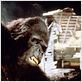 King Kong 2 : foto John Guillermin
