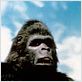 King Kong 2 : foto John Guillermin
