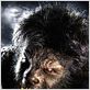 El hombre lobo : foto Benicio Del Toro, Joe Johnston