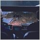 Jurassic Park (Parque Jurásico) : foto Jeff Goldblum, Sam Neill
