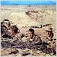 Tobruk : foto Arthur Hiller, George Peppard, Robert Wolders, Rock Hudson