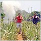 foto Jeremiah Hu, Scott Porter