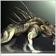 Predators : foto