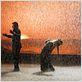 Flamenco, Flamenco : foto