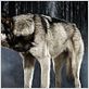 Riese: Kingdom Falling : foto