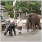 Zooloco : foto Frank Coraci, Kevin James
