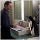 Los pingüinos del Sr. Poper : foto Jim Carrey, Mark Waters